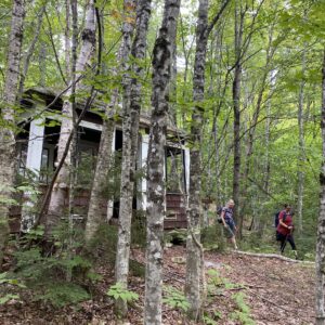 dilapidated cabin