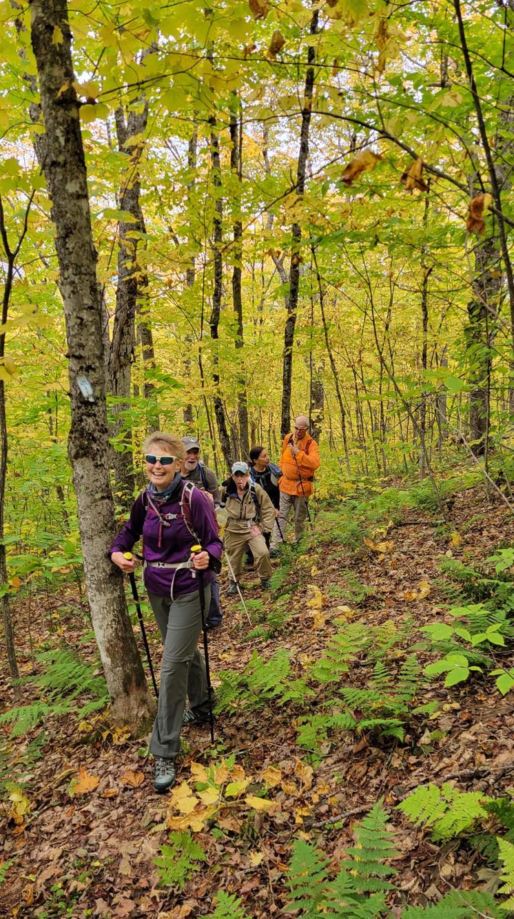 hikers in the woods