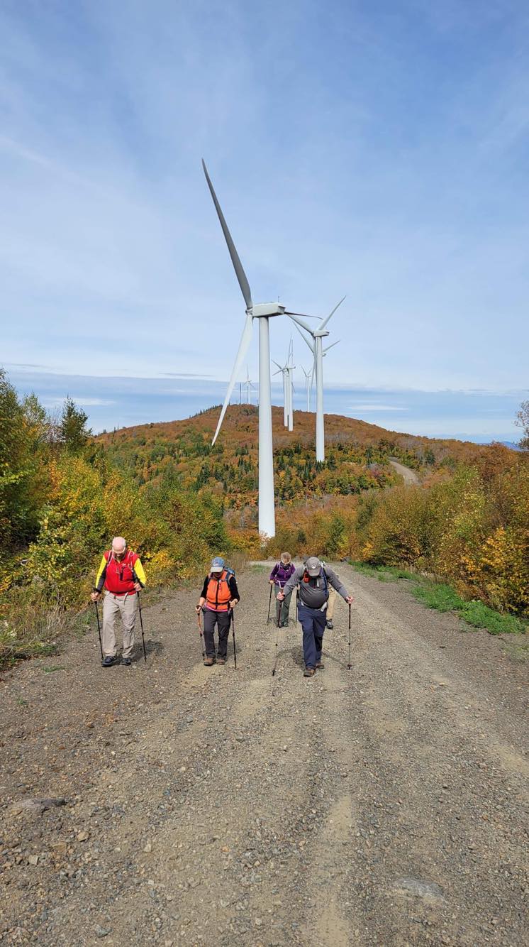 hikers with windmills in background