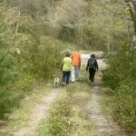 Wildflower Walk