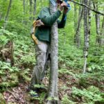 Flagging the trail