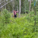 Clearing and flagging the trail