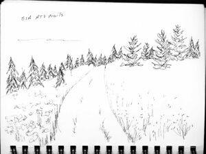 Pen drawing of an atv trail